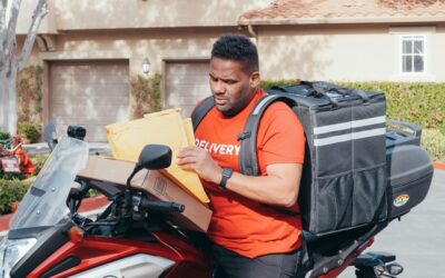 Movie Zwigato’s Look into Delivery Careers: Skills, Challenges, and Real Earnings in 2024
